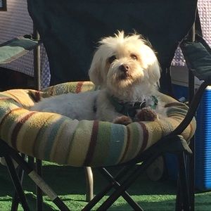 Meet your Posher, Sandy